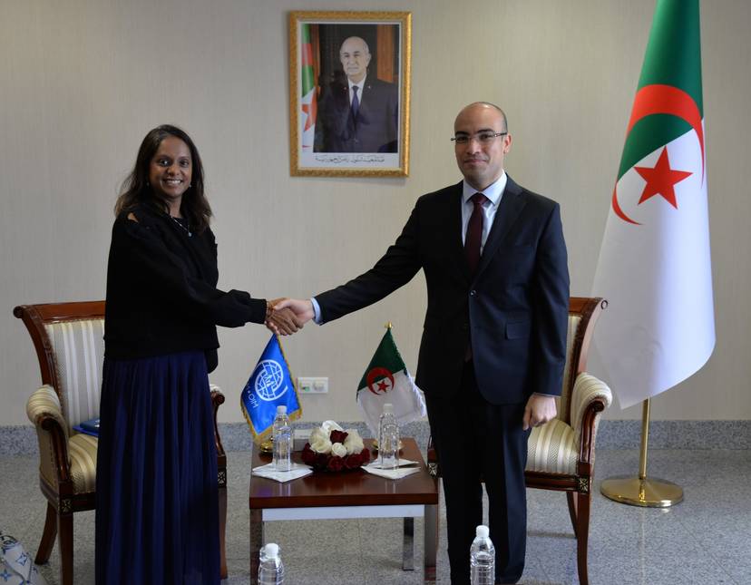 Mr Chaib receives the head of the International Organisation for Migration in Algeria