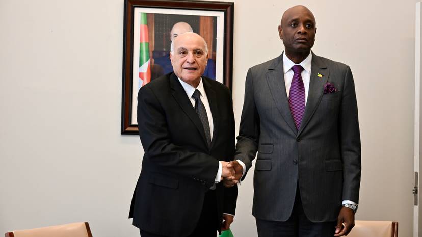 Mr. Attaf Holds Talks with His Congolese Counterpart
