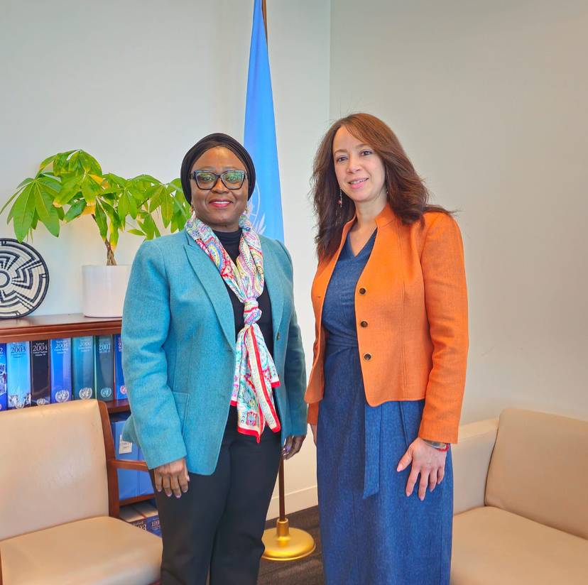 Mrs. Mansouri holds talks with UN Special Adviser on Africa