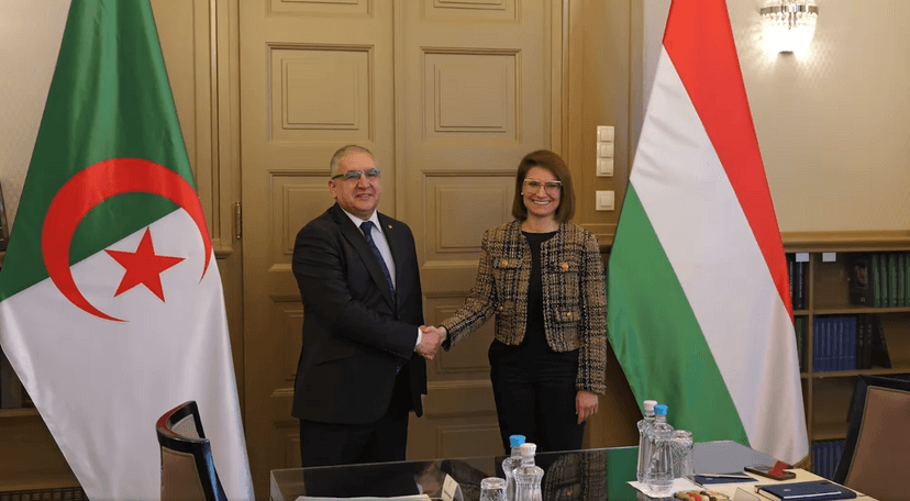 Algerian-Hungarian political consultations: Magramane, Hungarian counterpart co-chair 3rd session