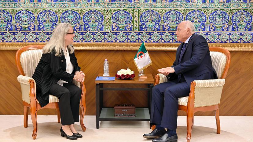 السيد عطاف يستقبل السفيرة والمنسقة المقيمة لمنظمة الأمم المتحدة لدى الجزائر