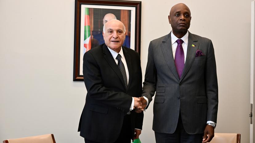 Mr. Attaf Holds Talks with His Congolese Counterpart