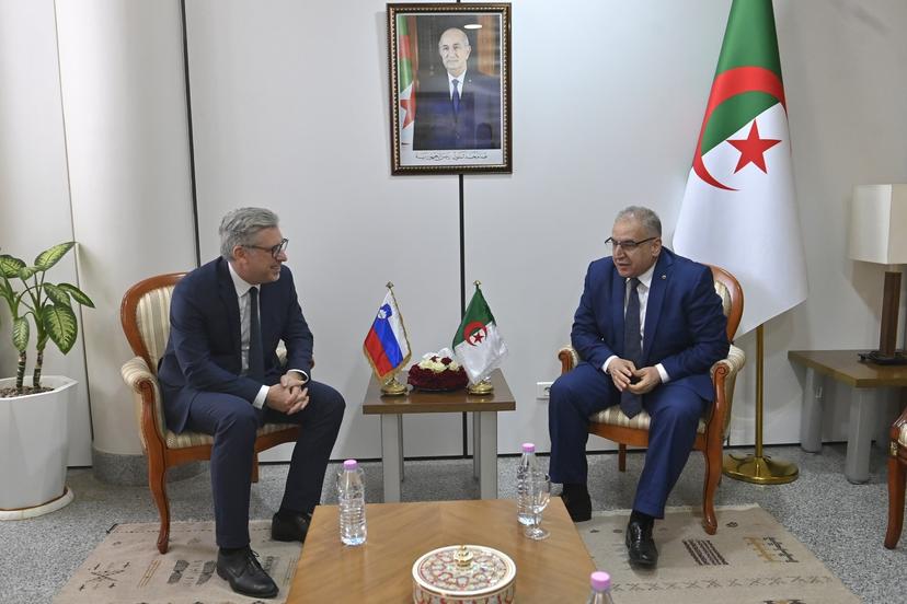 Algeria, Slovenia hold 3rd bilateral political consultations