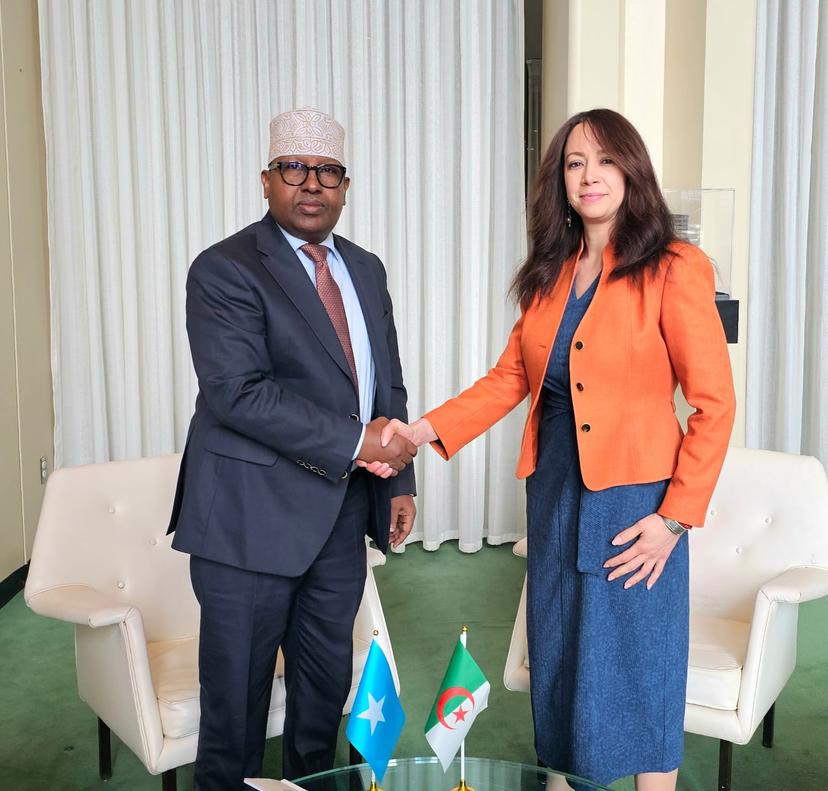 Mrs. Mansouri holds talks with Somalia's foreign minister