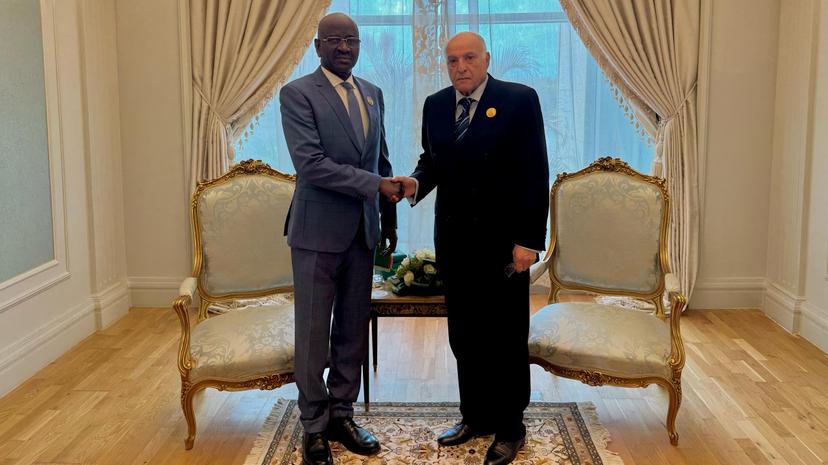 Mr Attaf holds talks with Mauritanian counterpart in Cairo