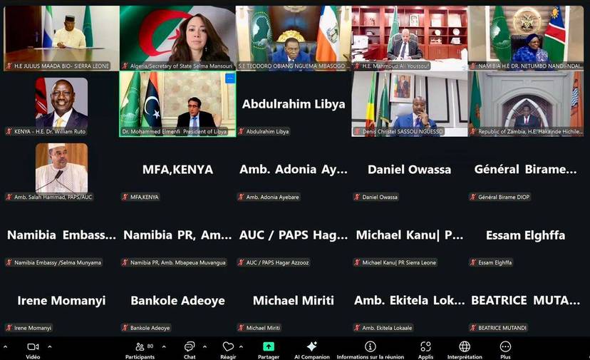 Mrs.Mansouri attends the sixth summit of the African Union's Committee of Ten on the reform of the United Nations Security Council