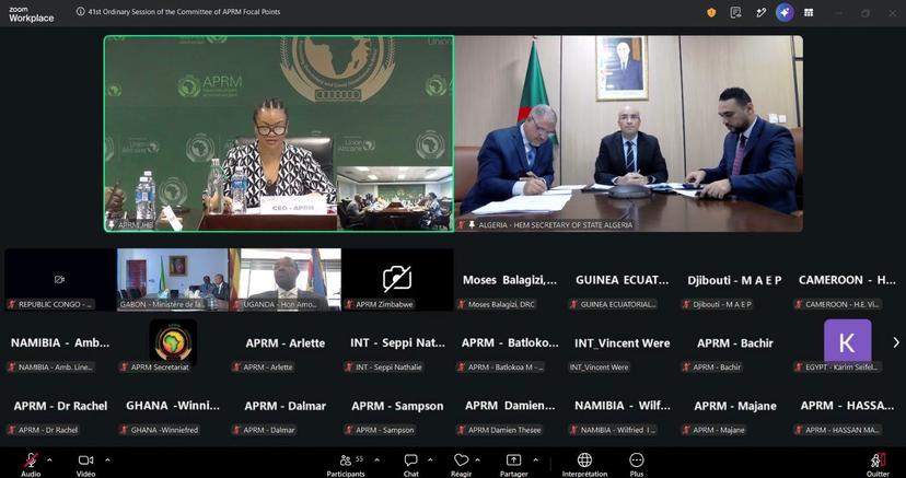 Mr. Chaib takes part in the proceedings of the 41st session of the APRM Focal Points Committee