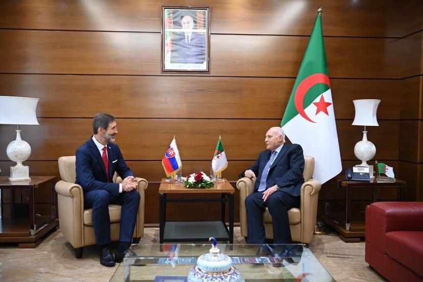 Mr. Attaf receives His Slovak Counterpart